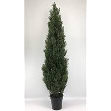 How do you identify a cedar tree? Buy One 6 Foot Outdoor Artificial Cedar Topiary Tree Potted Uv Rated Plant Silk Tree Warehouse Company Inc 6 Foot Online In Indonesia B07rbp29rq