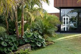 Auckland Garden Design Fest Front Yard Garden Design Landscape Design Tropical Landscaping