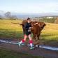 YORKSHIRE TRAIL RUNS 2026 - HAREWOOD HOUSE event image