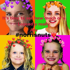 The family is composed of sabre, sockie, biggy, naz, disco , mama (brooke) & papa (justin). 70 Nuts Ideas Nuts Norris Youtube Stars