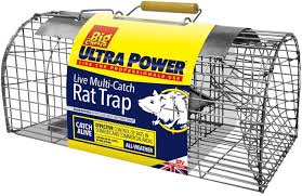 I could just buy the rat zapper.but thats no fun! The Big Cheese Ultra Power Live Multi Catch Rat Trap Humane Durable Ready To Use Rodent Trap Amazon Co Uk Garden Outdoors