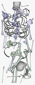 Bone Pile Top Down View Rpg Bones Pretend Play Cartoon Hd Png Download Transparent Png Image Pngitem Depicts a caricature of kaiser wilhelm ii climbing up a huge pile of human skulls, representing war dead, while smoking ruins appear in the.