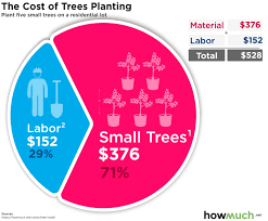 Tree removal cost generally, we all know that trees make our yard and the neighborhood beautiful and attractive, but there might be some certain time. How Much Does It Cost To Plant A Tree
