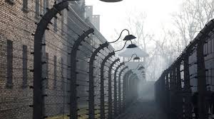 The holocaust was one of the most brutal episodes in world history. Xqatilfezv8qm