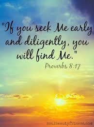 17 I Love Them That Love Me And Those That Seek Me Early Shall Find Me 18 Riches And Honour Are With Me Yea Scripture Verses Seeking God Biblical Quotes