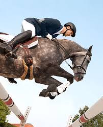 springsattel jumping saddles reiten springreiten dressur