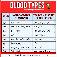 Blood Donation Charts All You Need To Know About Blood