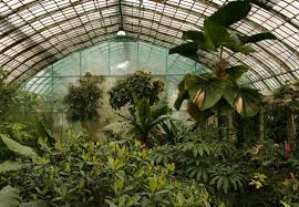 Les ruines et le bassin lui donne une touche romantique. Botanical Gardens In Paris Un Jour De Plus A Paris