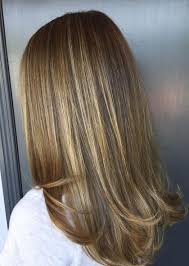 Superfine And Subtle Blonde Highlights On Brunette Hair Jpg 420 589 Pixels Blonde Highlights Brunette With Blonde Highlights Hair