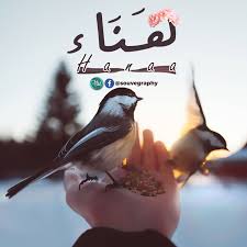 ه ن اء اسم علم مؤنث عربي معناه السرور و الفرح و الم سر ة و السعادة هناء hanaa a n a letters ha