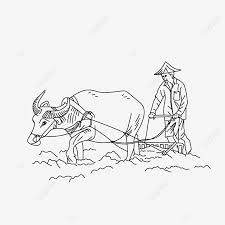Bagi para petani palawija terutama petani cabe, maka penyakit daun keriting sudah bukan merupakan hal baru lagi bagi mereka. Sketsa Gambar Petani