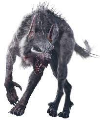Maybe you would like to learn more about one of these? Ralph The Wolf Death Battle Fanon Wiki Fandom