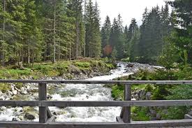 Due persone disperse nel Vicentino, travolte dalla piena di un torrente