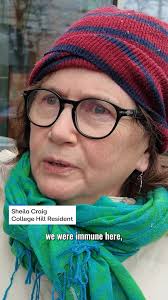 Cold-stunned turtles wash up