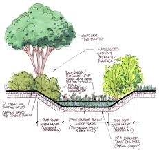 Pin By Ann Sullivan Barnes On Rain Garden Rain Garden Rain Garden Design Soil Conservation