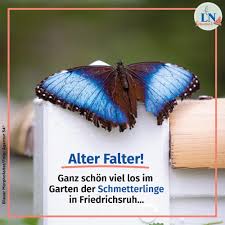 Maybe you would like to learn more about one of these? Garten Der Schmetterlinge Home Facebook