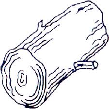 Znalezione obrazy dla zapytania log