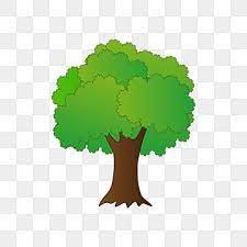 Various formats from 240p to 720p hd (or even 1080p). 50 Menakjubkan Seni Klip Pokok Latar Belakang Telus Gambar Percuma Muat Turun