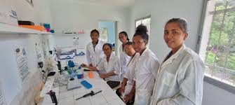 Image result for Oedina