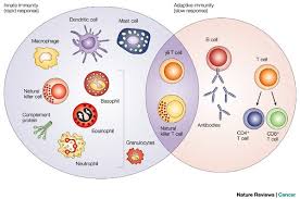 We did not find results for: Who S On Your Team Agonyantibodies