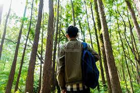 Mulai dari gambar kartun animasi, tentang malam minggu, ulang tahun, ucapan selamat pagi. Pandangan Belakang Mendaki Lelaki Gambar Unduh Gratis Imej 501111567 Format Jpg My Lovepik Com