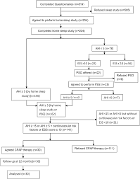 Study Flow Chart