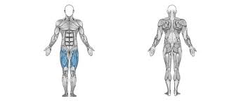 Move them with control and fully lock out your why: Leg Extension Partial Reps Russ Howe Pti
