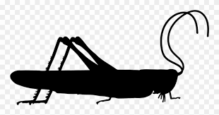 All grasshopper clip art are png format and transparent background. Grasshopper Clipart Svg Png Download 3038278 Pinclipart