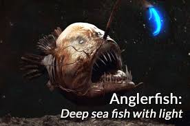 We did not find results for: Deep Sea Angler Fish With Light Anglerfish Size And Facts Seafish