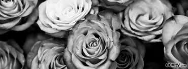 Black And White Rose Wallpaper Guns N Roses Facebook Covers Facebook Cover Photos Flowers Facebook Cover Images Black And White Roses