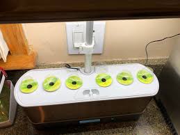 The aerogarden harvest elite is one of the most popular models for beginners. Any Advice For Beginner I Just Got A Harvest Elite Slim Followed The Directions And Set It Up Last Night Any Advice To Maximize My Chances Of Actually Getting Herbs Concerned By