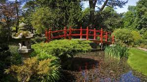 Meal Ticket Japanese Restaurant Gardens Kildare