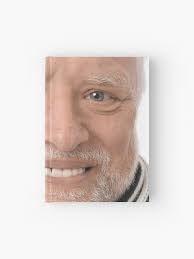 Hide The Pain Harold High Definition Journal