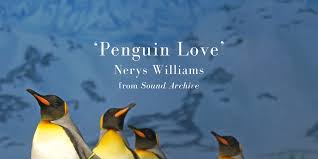 I love you with my past, and i love you for my future. Friday Poem Penguin Love Nerys Williams Seren Books Blog