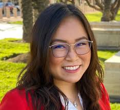 Phó Thị Trưởng Thái Việt Phan kêu gọi GSV Andrew Đỗ từ chức