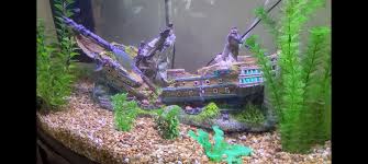 Shipped with usps priority mail. Top Fin Ship With Led Light Bubbler Aquarium Ornament Fish Ornaments Petsmart