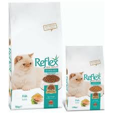 If you one of those foodies, you will surely find comfort in good food as you can find various known food brands nowadays in pakistan, and shortly, many more are meet manahil qureshi who has an infinite love for food and cats. Buy Cat Food Accessories From Online Pet Store In Pakistan