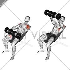 In this guide we've explained how to do it with tips, variations, and more. Dumbbell Incline Front Raise