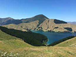 We did not find results for: 40 New Zealand Slang Words Know Yuz Chur S From Your Chocka S Bro