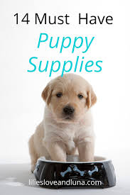Pin On Puppy Care Tips And Advice