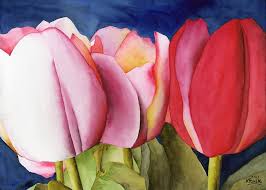 Triple Tulips By Ken Powers Watercolor Tulips Tulip Painting Tulips