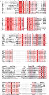 The application google service framework has stopped unexpectedlythis error message shown again and again unfortunately, google play store has stopped.please help? Genome Wide Identification Of The Arrs Gene Family In Tobacco Nicotiana Tabacum Springerlink
