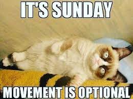 Pin On Cast Iron Skillet