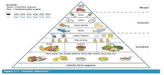 We did not find results for: Una Piramide Che Non Sta In Piedi Carni Sostenibili