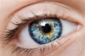 Eye Color Bing Images Blue Hazel Eyes Beautiful Eyes Color Aesthetic Eyes