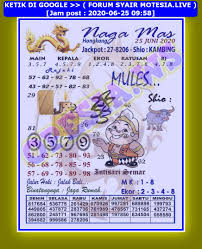 1 New Message Kode Syair Hongkong 25 Juni 2020 Forum Syair Togel Hongkong Singapura Sydney