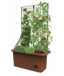 Garden Mobile Vegetable Patch Self Watering Planter Box With Trellis Grow Box Self Watering Planter Vegetable Planters Tomato Planter