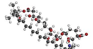 Dabei handelt es sich um eine gefährliche erkrankung der lunge und nasennebenhöhlen und sie verläuft in der hälfte der fälle tödlich. Nasenpilz Pilz In Der Nase Symptome Und Diagnose Kanyo