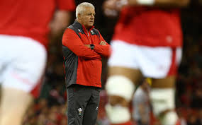 Viagogo.com has been visited by 100k+ users in the past month Gatland Names British Irish Lions Squad Jones To Captain Side Vs Springboks