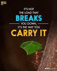 Grin Finder It S Not The Load That Breaks You Down It S Facebook